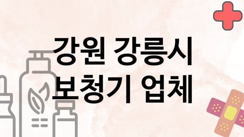강원 강릉시 보청기 추천 TOP 3