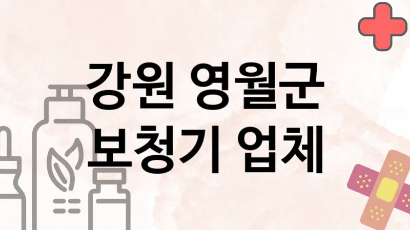 강원 영월군 보청기 추천 TOP 3