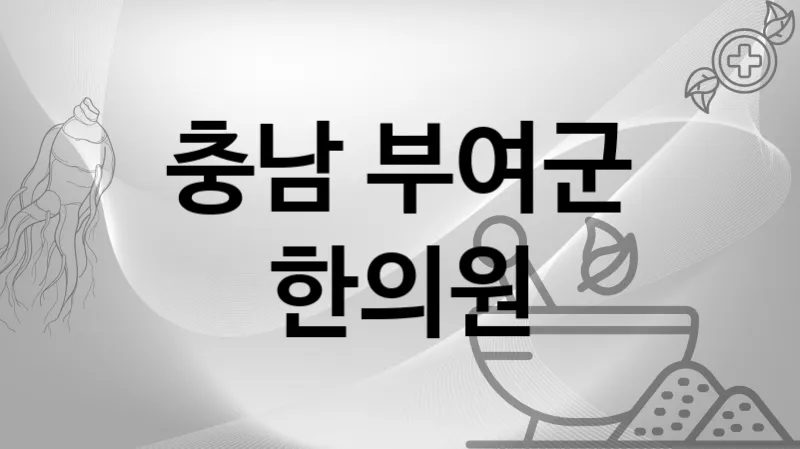 충남 부여군 한의원 추천 3