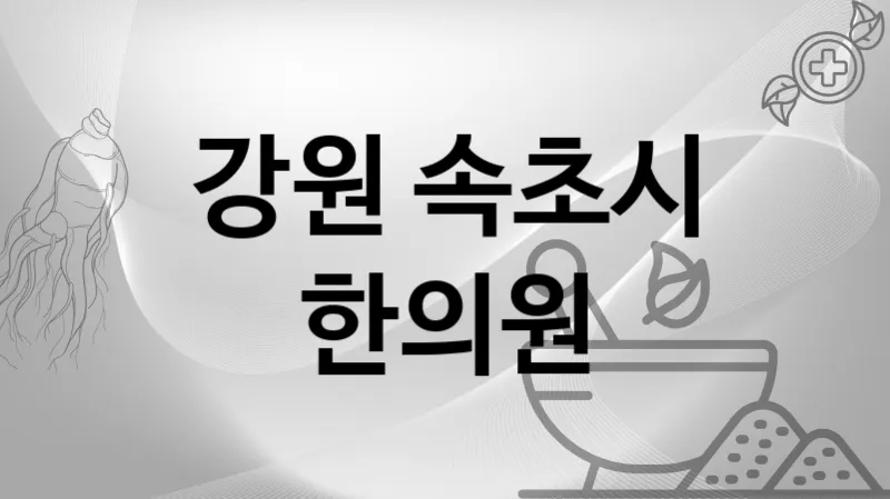 강원 속초시 한의원 추천 TOP 3