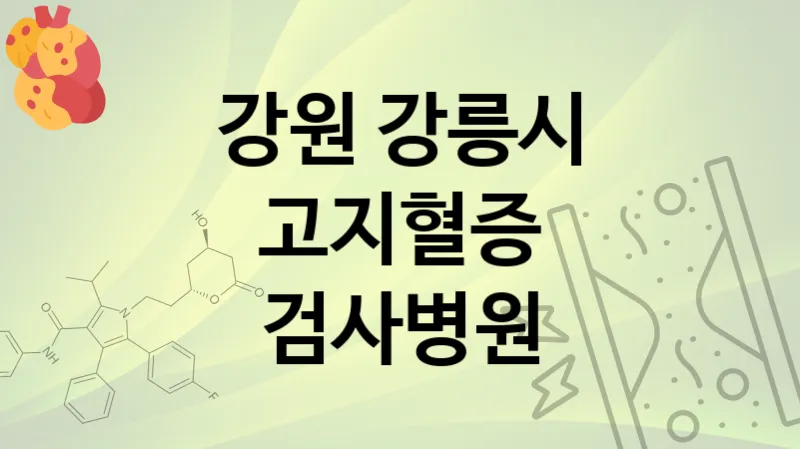 강원 강릉시 고지혈증 검사 병원  TOP 5