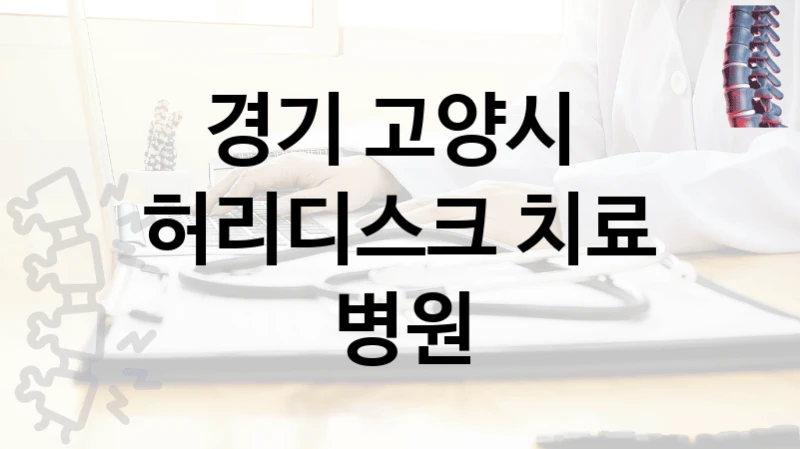 경기 고양시 
허리디스크 치료 병원