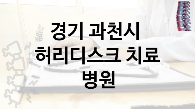 경기 과천시 
허리디스크 치료 병원