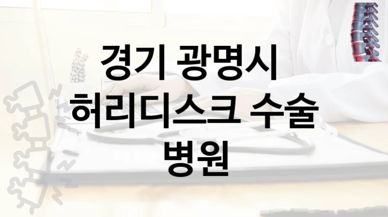 경기 광명시 
허리디스크 수술 병원