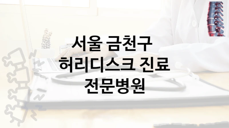 서울 금천구 
허리디스크 진료 전문병원
