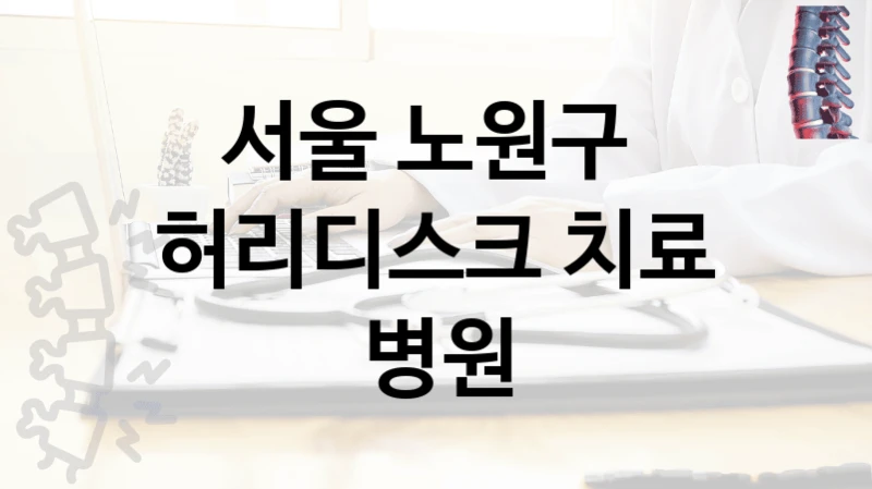 서울 노원구 
허리디스크 치료 병원