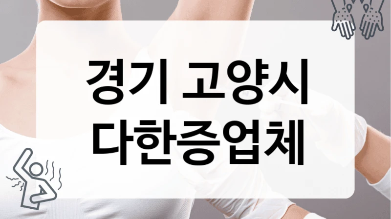 경기 고양시 다한증업체