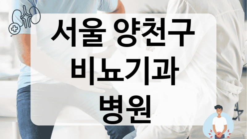 서울 양천구 비뇨기과 병원