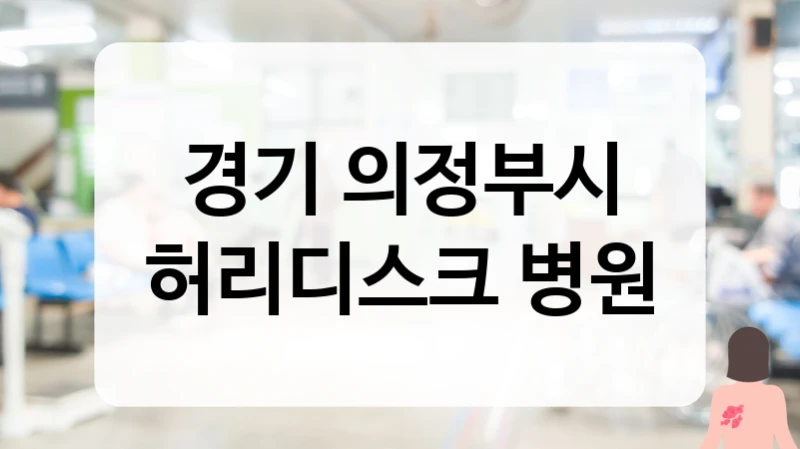 경기 의정부시 허리디스크 병원